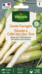 Carotte Fourragère Blanche à Collet Vert Hors Terre